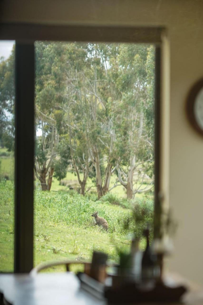 Villa Adventure Bay Retreat Bruny Island Extérieur photo